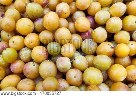 Stack Of Mirabelle Plums (prunus Domestica Subsp. Syriaca) On A Merchant's Stall.