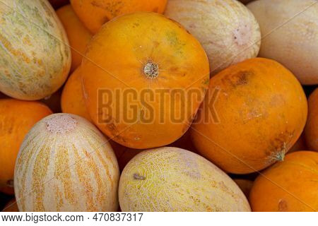 Stack Of Yellow (uzbek-russian Melon) And Orange (kolkhoznitsa Melon) Melons On A Market Stall On Ru