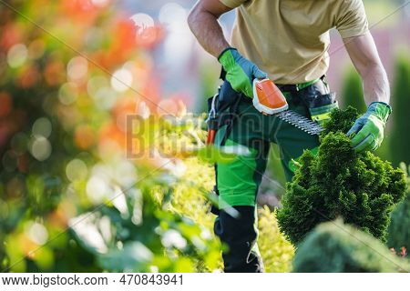 Closeup Of Professional Caucasian Gardener Trimming The Evergreen Garden Plant Using Hand Held Hedge