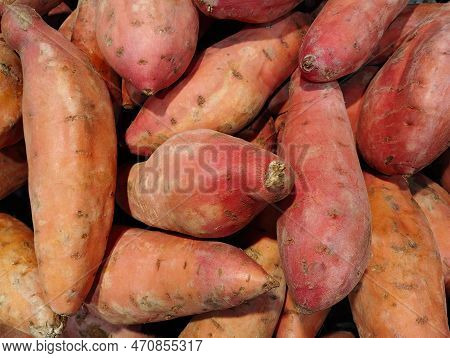 Sweet Potato Ipomoea Batatas Or Yam On Display, Group Of Objects