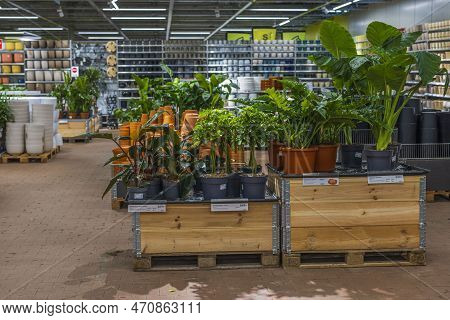 Beautiful Colorful Interior View Of Plantagen Boutique. Uppsala, Sweden. 02.14.2023