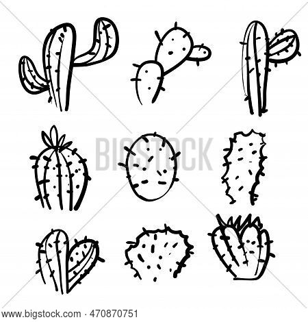 Doodle Exotic Cactuses Plants Summer Desert Tropical Flora Cartoon Botanical Hand Drawn Cartoon Styl