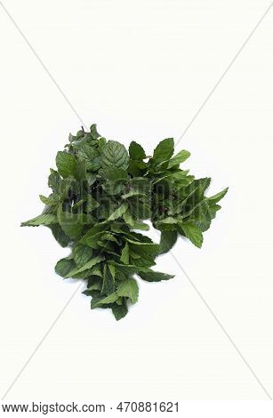 Closeup Of Mint Leaves Or Pudina Leaves Isolated On White Background In Vertical Orientation