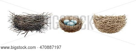 Bird Nest Watercolor Illustration Set. Hand Drawn Different Birds Nests Made Of Sticks, Branches, St