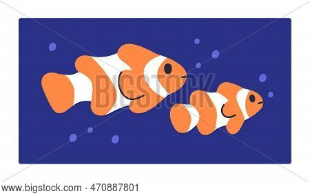 Tropical Fishes In Sea Water. Marine Striped Clownfishes Swimming Undersea, Underwater. Small Exotic