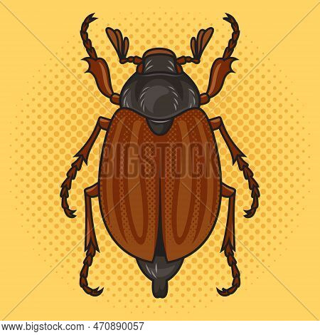 Chafer May Bug Melolontha Pop Art Retro Vector Illustration. Comic Book Style Imitation.