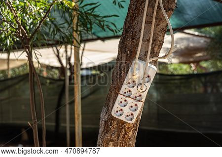 The The Electric Socket On The Parking Place For Charging Electric Car