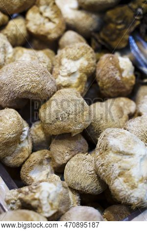 Lions Mane Mushroom. Dried Hericium Erinaceus For Cooking In Chinese Cuisine. Selected Focus