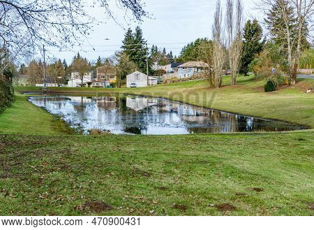Home Are Refleced On A Pond In Seatac, Washington.
