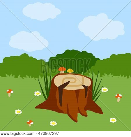 Stump In Forest Meadow. Green Field With Grass. Background For Child Drawing. Summer Nature. Funny S