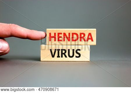 Hendra Virus Symbol. Concept Words Hendra Virus On Wooden Block. Beautiful Grey Table Grey Backgroun