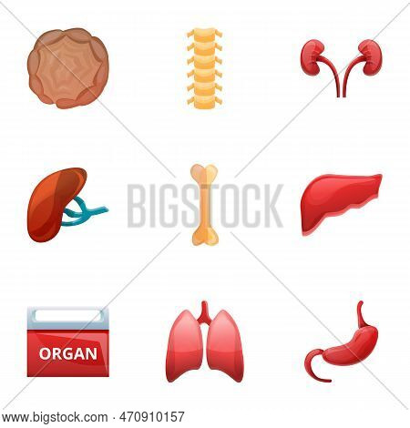 Human Organ Transplant Icon Set. Cartoon Set Of 9 Human Organ Transplant Icons For Web Design Isolat