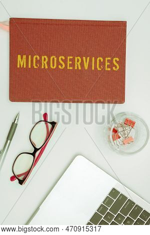 Writing Displaying Text Microservices. Business Overview Software Development Technique Building Sin
