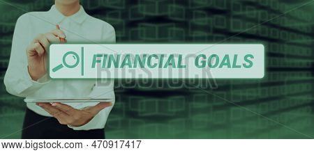 Conceptual Display Financial Goals. Business Overview Targets Usually Driven By Specific Future Fina