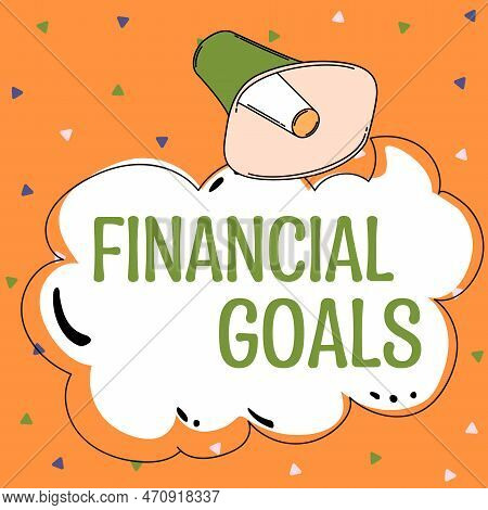 Text Sign Showing Financial Goals. Business Overview Targets Usually Driven By Specific Future Finan