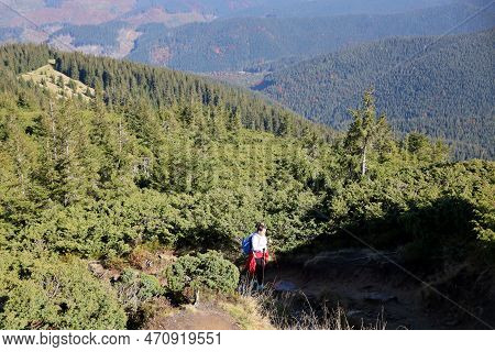 Carpathian Mountains, Ukraine - October 8, 2022 Mount Hoverla. Carpathians In Ukraine In Autumn. Tou