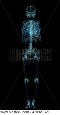 Ct Scan Whole Human Image & Photo (Free Trial) Biology Diagrams