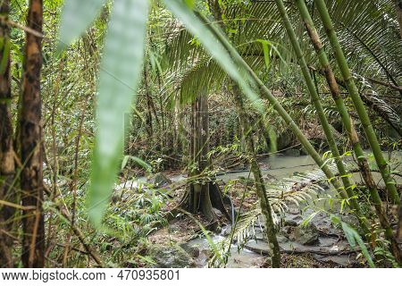 Thailand Prachuap Bang Saphan Sai Khu Waterfall