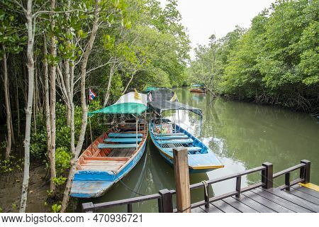 Thailand Prachuap Hua Hin Pranburi Mangroves