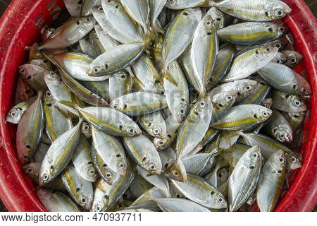 Thailand Prachuap Hua Hin Pak Nam Pran Fishing Village