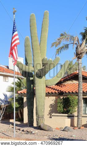Southwestern Xeriscaped Front-yard With A Grown Up Beautiful Saguaro And American Flag