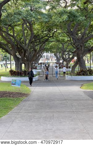 Manoa, Hi - February 3 2023: Students Walking Under A Canopy Of Trees On The University Of Hawaii Ca