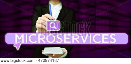 Text Caption Presenting Microservices. Word For Software Development Technique Building Single Funct