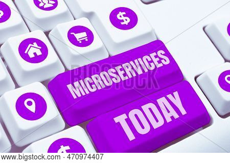 Conceptual Display Microservices. Business Overview Software Development Technique Building Single F
