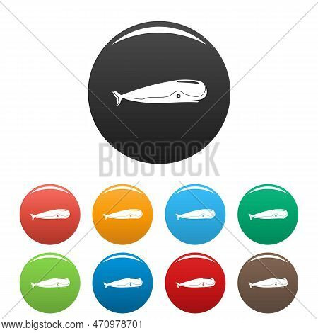 Sperm Whale Icons Set 9 Color Isolated On White For Any Design