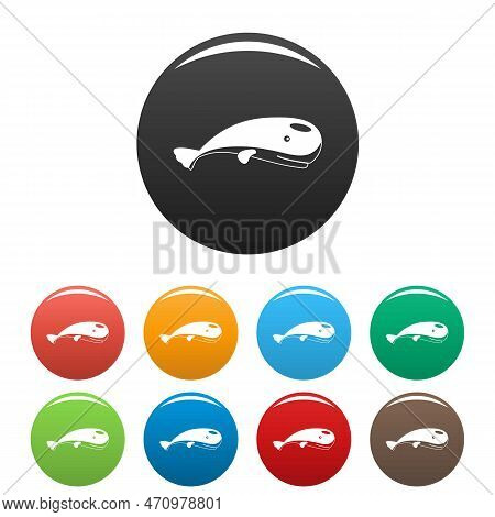 Mammal Whale Icons Set 9 Color Isolated On White For Any Design