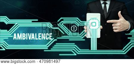 Conceptual Display Ambivalence. Business Overview Attitudes Or Feelings Attraction And Repulsion To 