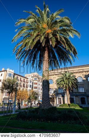 Walking In Old Harbor And Central Part Of Donostia Or San Sebastian City, Basque Country, Spain In S
