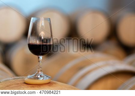 Tasting Of Rioja Wines, Visit Of Winery Cellars With French Or American Oak Barrels With Agening Red