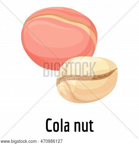 Cola Nut Icon. Cartoon Of Cola Nut Icon For Web Design Isolated On White Background