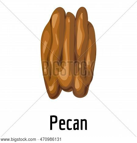 Pecan Icon. Cartoon Of Pecan Icon For Web Design Isolated On White Background