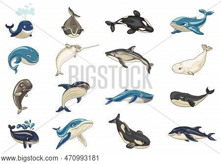 Whale Icons Set. Cartoon Set Of Whale Icons For Web Design