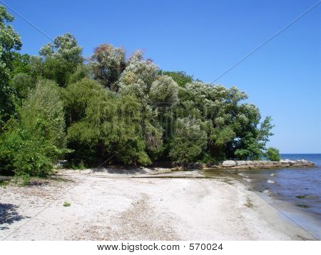 Paletta Park Beach