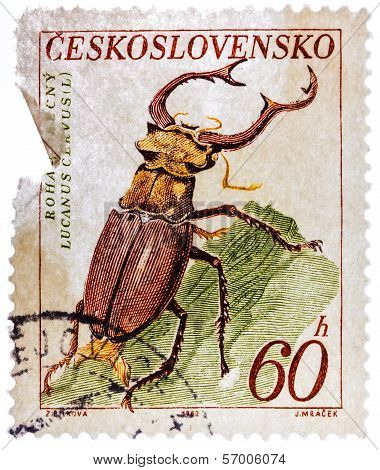 Postage Stamp Printed By Czechoslovakia, Shows Stag Beetle