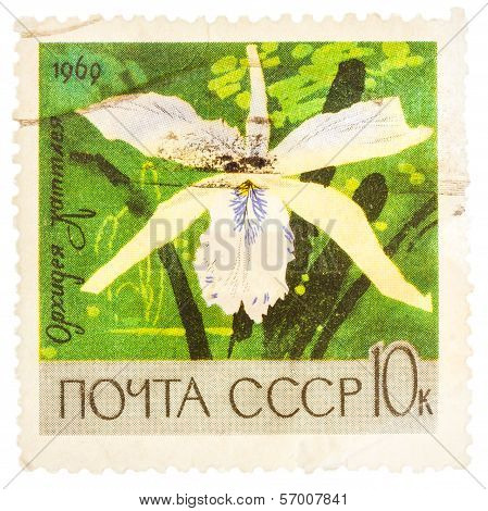 Stamp Printed In Ussr (russia) Shows White Orchid With The Inscription 