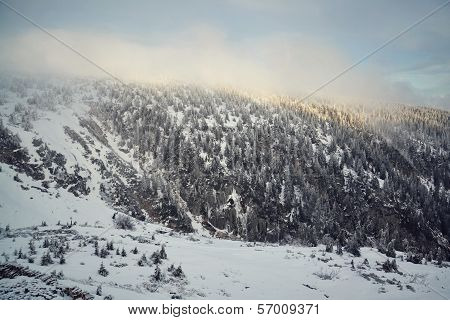 Winter country