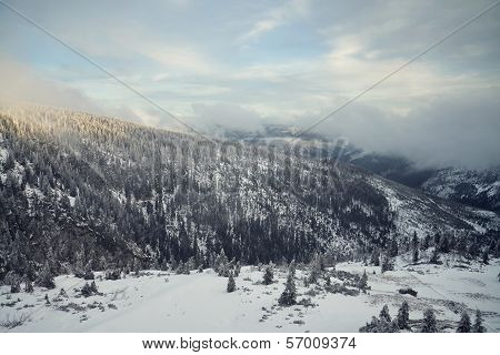 Winter country