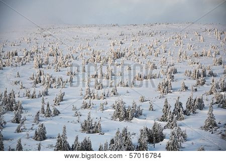 Winter country