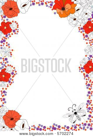 Coquelicots et papillons