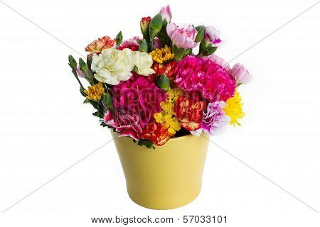 colorful flower on white background