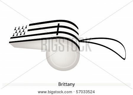 Black And White Stripe On Brittany Whistle