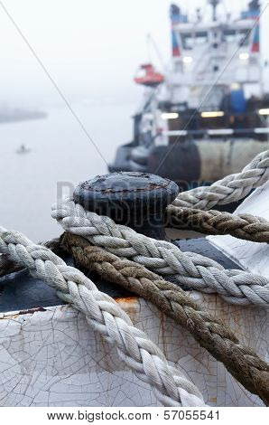 Morning In Harbor
