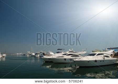Yachts bianco su un ancoraggio