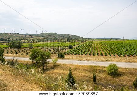 Landscape Near Carcassonne