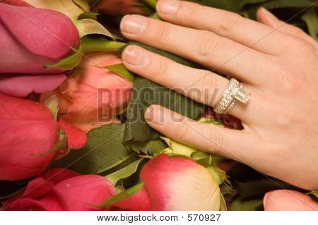 Bride's Hand