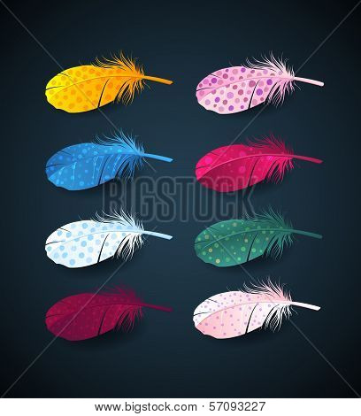 vector colorful feathers of sprind bird